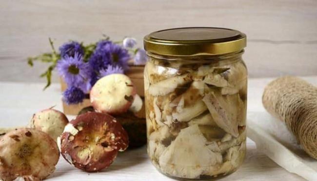 Маринованная коммиса: универсальная грибная закуска для любого случая - На кухне