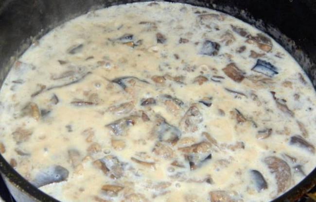 Грибной соус с сыром – кулинарные рецепты на каждый ден