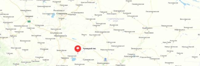 Съедобные и ядовитые грибы Ставрополя
