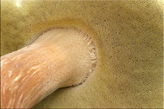 фото 3174