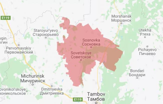 Подгруздок и груздь — отличия
