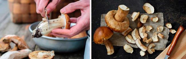 Маринование подосиновиков и подберезовиков на зиму - рецепты с фото