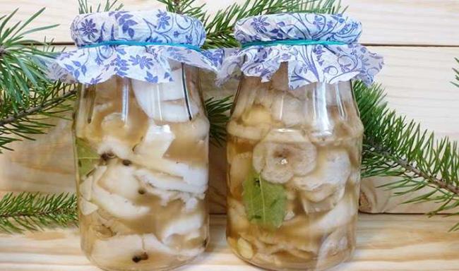 Как правильно солить подснежники, чтобы получить вкусную и ароматную закуску с отчетливым хрустом