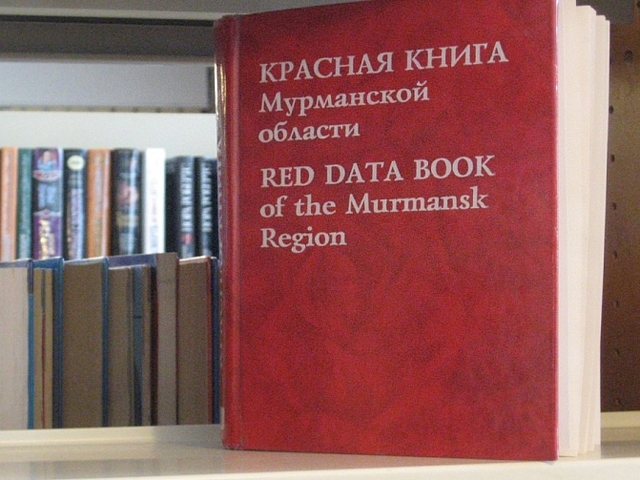 Выход второго издания Красной книги Мурманской области ожидается этой осенью :: Мурманск :: Новости :: Арктик-ТВ