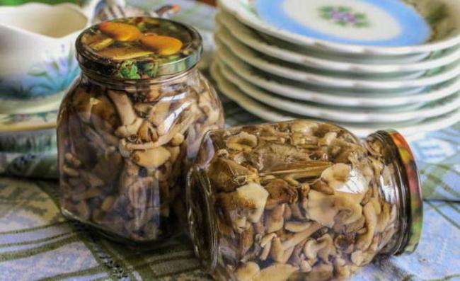 ТОП-19 лучших рецептов маринада для грибов