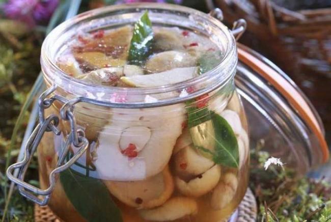 ТОП-19 лучших рецептов маринада для грибов