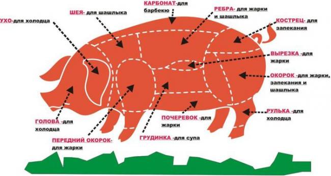 Схема разруба свиной туши с названиями Части свиной тушки
