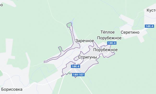 Село Стригуни