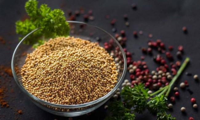 Семена горчицы для приготовления маринада Горчица для конины