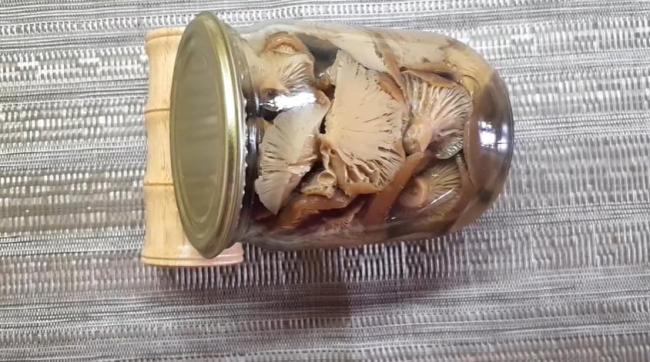 ТОП-19 лучших рецептов маринада для грибов