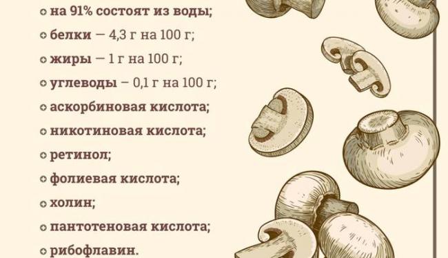 Состав и полезные нутриенты в шампиньонах Химический состав шампиньонов