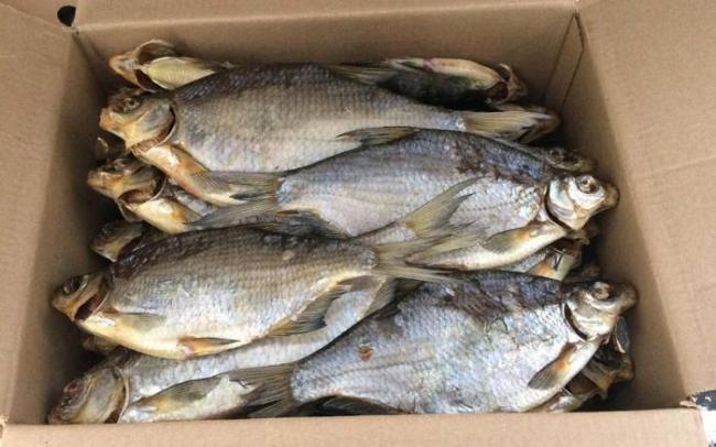 Хранение вяленых карасей в картонной коробке Караси в коробке
