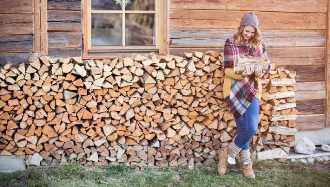 Выбор дров для мангала Охапка дров для шашлыка