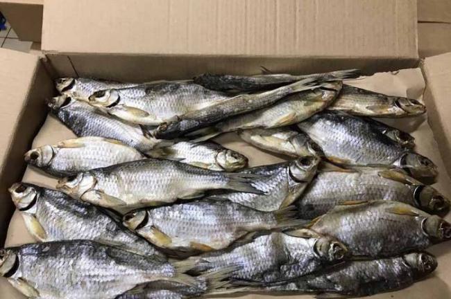 Хранение вяленой рыбы в коробке Рыба в коробке