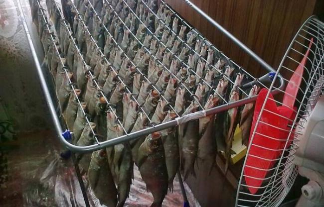Вяление рыбы в квартире с помощью вентилятора Рыба в квартире