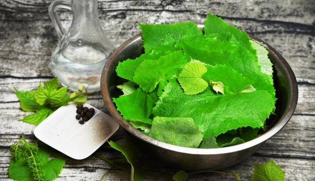 Ингредиенты для приготовления корюшки в виноградных листьях Виноградные листья для корюшки