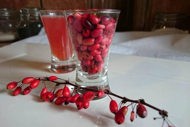 Морс из ягод барбариса Барбарис и морс