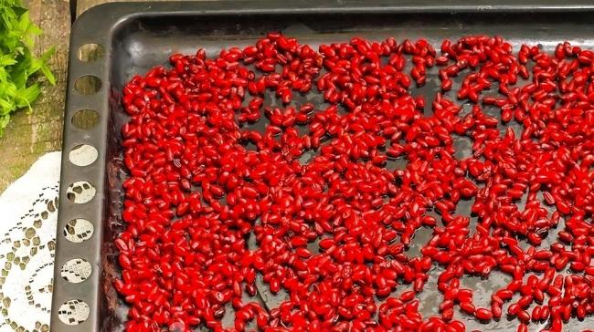 Выкладывание барбариса на противень Барбарис на противне