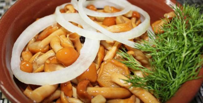 Самые простые способы и рецепты маринования грибов на зиму