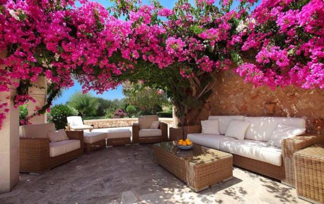 Патио с бугенвиллией Бугенвиллия и патио