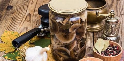 Как вкусно и быстро приготовить сыроежки после сбора на зиму