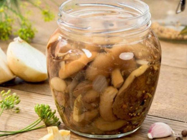 Маринованные грибы на зиму: рецепты