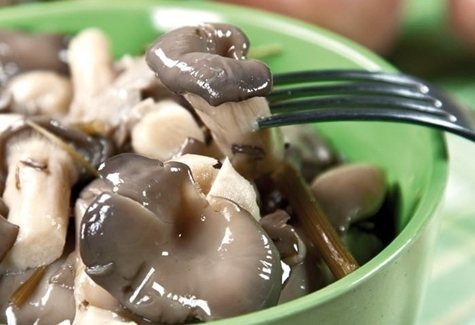 Как быстро и вкусно засолить вешенки в домашних условиях