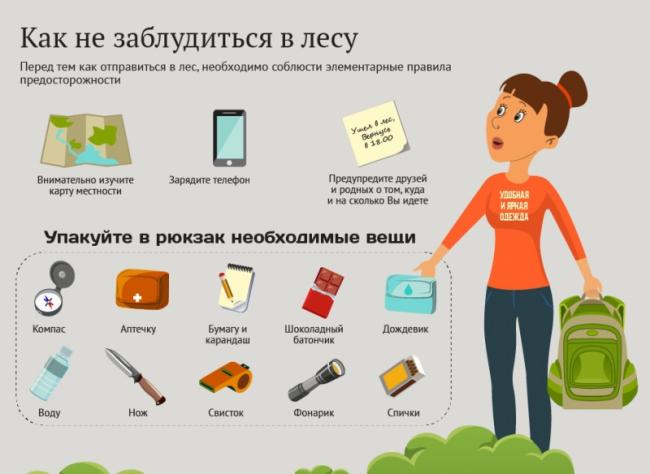 Тихая охота. Как не потерять голову в грибной сезон | ЭКОЛОГИЯ: Развитие | ЭКОЛОГИЯ | АиФ Чебоксары