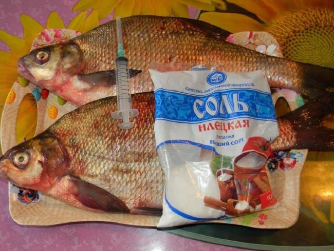 Шприц и соль для засолки лещей Два леща соль и шприц