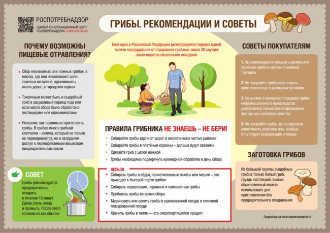 Где есть грибы в Челябинской области