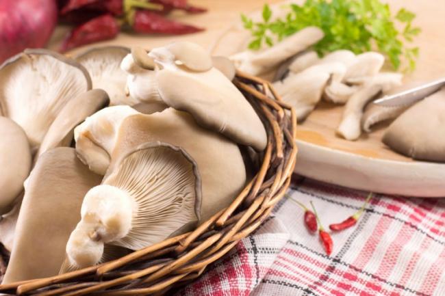 Как быстро и вкусно посолить вешенки в домашних условиях в кастрюле