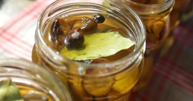 Как мариновать грибы (+18 фото)