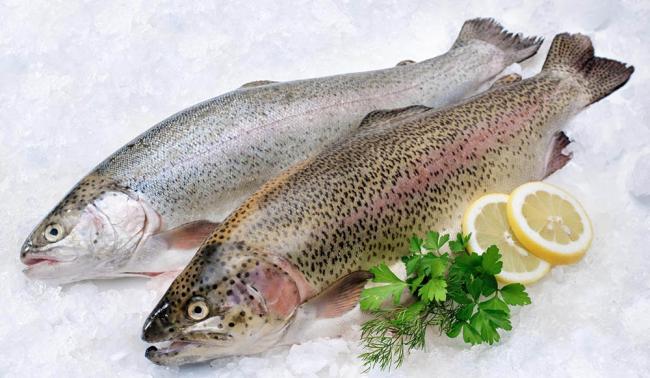 Свежая форель для приготовления на мангале Форель для мангала