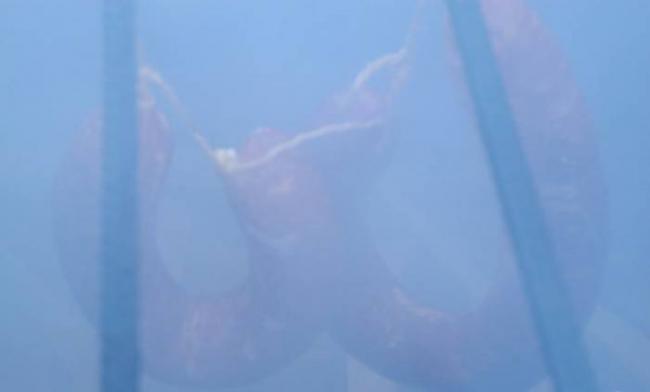 Копчение колбасы горячим методом Горячее копчение колбасы