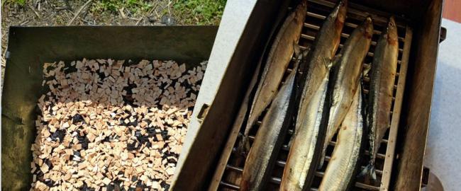 Копчение сайры горячим методом Горячее копчение сайры