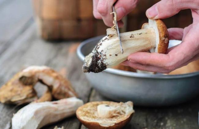 Очистка грибов от грязи Грибы и нож