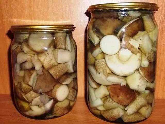 Маринованные на зиму грибы - 5 вкусных рецептов