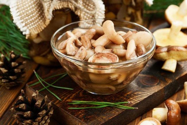 Рецепт маринованных грибов для масляных грибов, медовых грибов