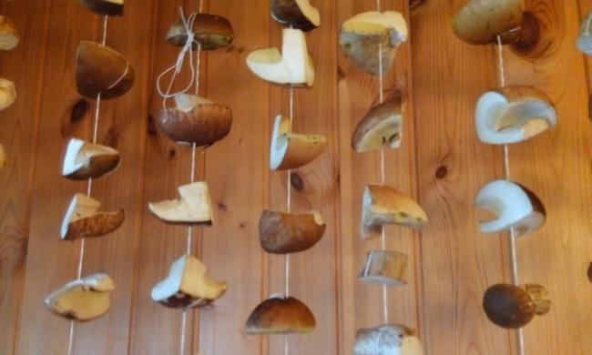 Сушка грибов на нитках Грибы висят на нитке