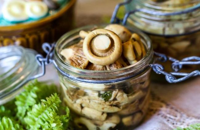 Как вкусно и быстро засолить грибы в домашних условиях в кастрюле и банке