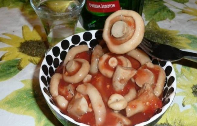 Как вкусно и быстро засолить грибы в домашних условиях в кастрюле и банке
