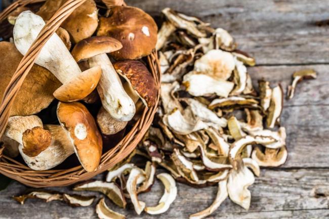 Qué son los Hongos porcini y como se usan en la cocina? - Мейор кон Салуд