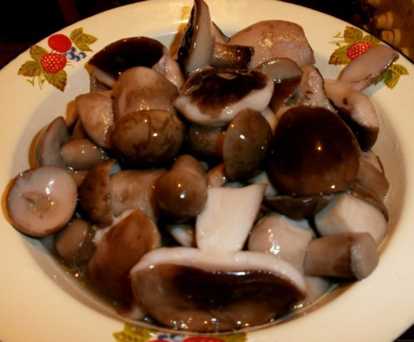 Как вкусно посолить подосиновики в домашних условиях