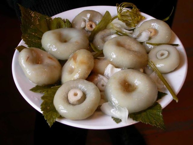 Простые и вкусные рецепты маринованных волнушек