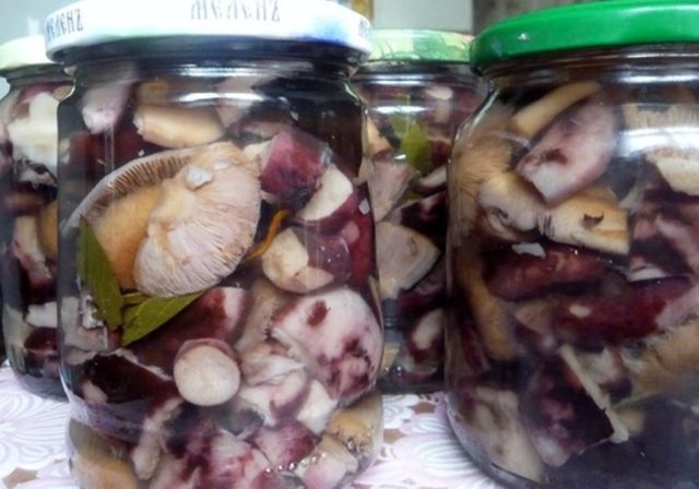 Черная косуля: засолка горячим способом