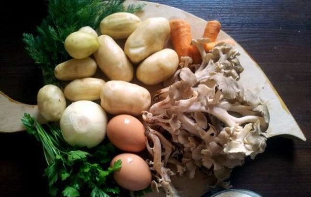 Как выглядит Грифола курчавая