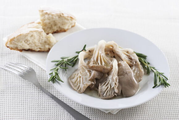 Как быстро и вкусно засолить вешенки в домашних условиях