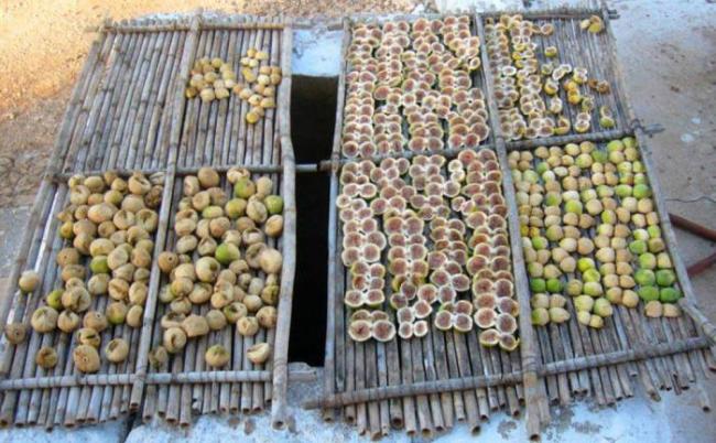 Сушка инжира под солнцем Инжир на солнце