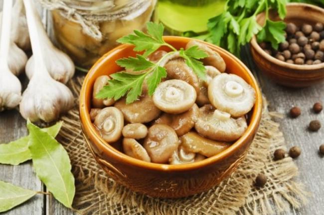 Как вкусно и быстро засолить грибы в домашних условиях в кастрюле и банке
