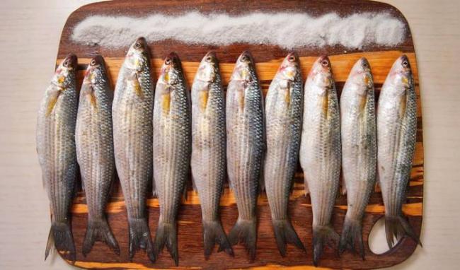 Ингредиенты для приготовления вяленой непотрошеной кефали Кефаль и соль